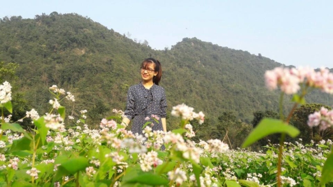 Vườn hoa Tam Giác Mạch Ninh Bình