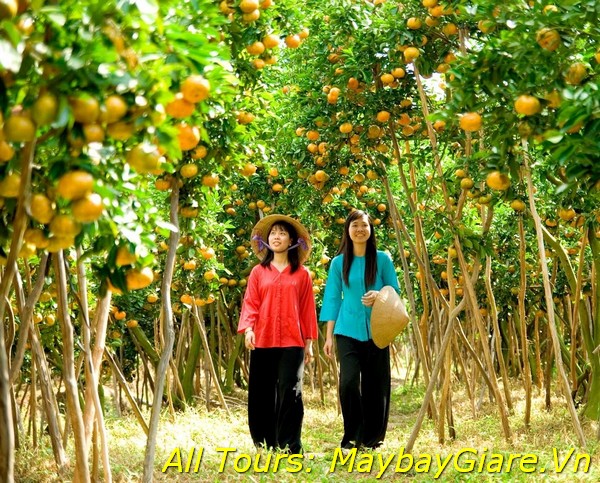 Khu du lịch sinh thái vườn trái cây tại Cần Thơ